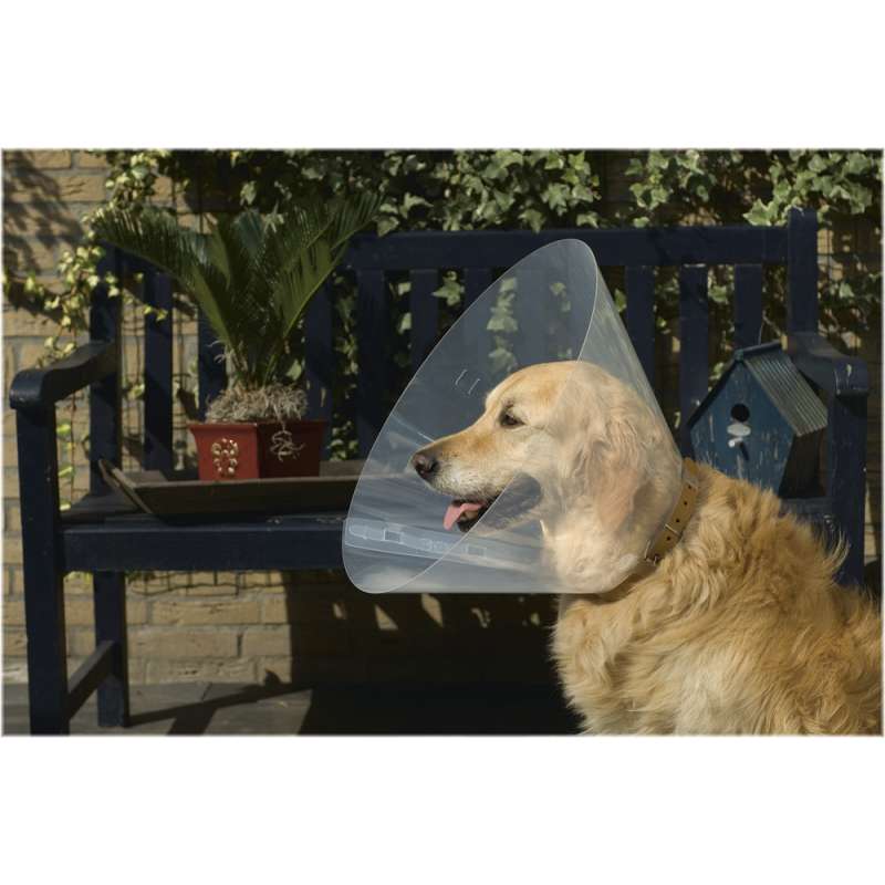 Beeztees hondenkraag plastic 44-50 x 25 cm
