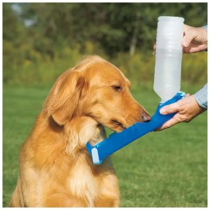 Pawise Travel Bottle 500 ml