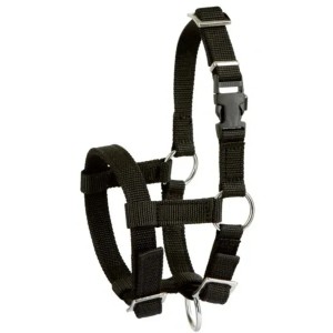 Alpaca Halster zwart Kerbl