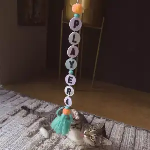 KONG Cat Teaser Friendship