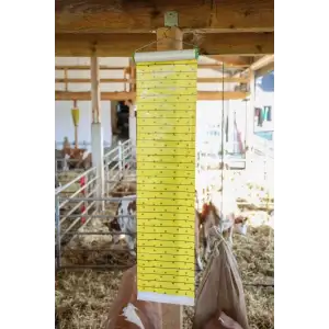 Flymaster Vliegenkleefrol 7 meter Kerbl