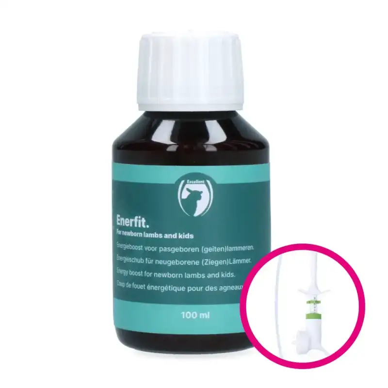 Enerfit snel start lam / geit 100 ml Excellent