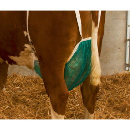 Uiernet koe compleet M