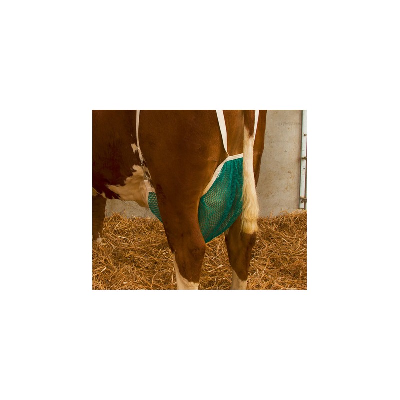 Uiernet koe compleet M