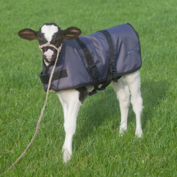 Topro kalverdekje 65 cm